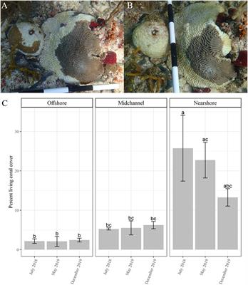 Fine Scale Temporal and Spatial Dynamics of the Stony Coral Tissue Loss Disease Outbreak Within the Lower Florida Keys